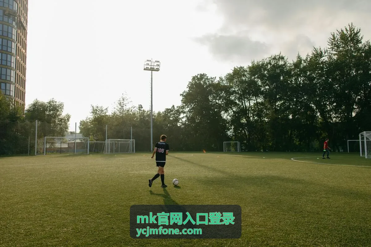 MK官网入口登录登录方式对照频道封面