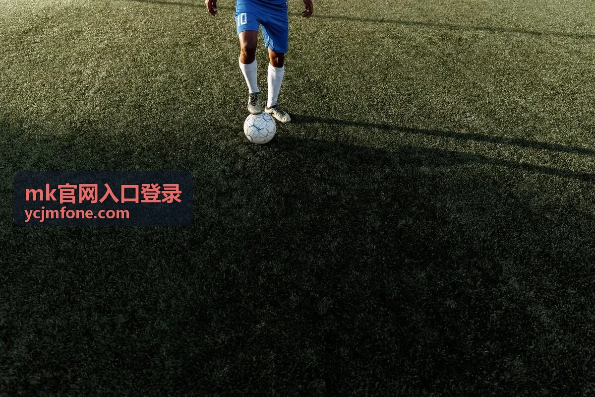 MK官网入口登录 账号验证与安全封面