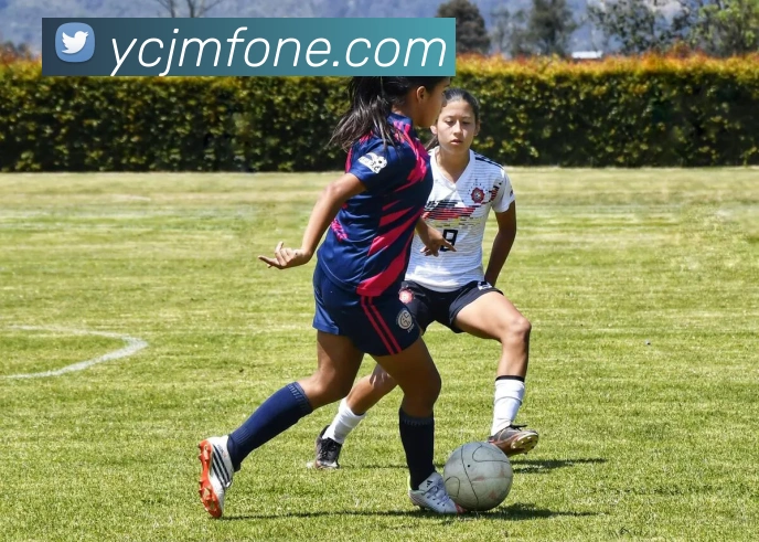 世界杯平台官网登录发展历程